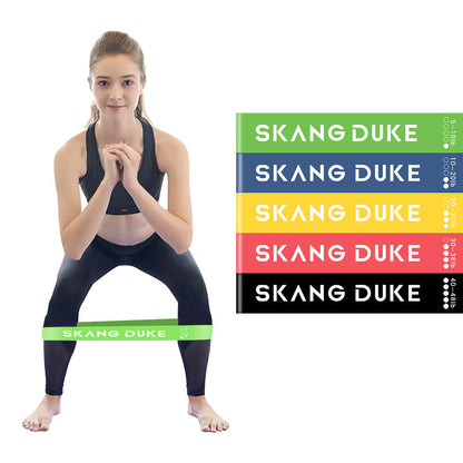 Resistance Bands Set - 5 Level Exercise Bands for Yoga & Strength Trainin